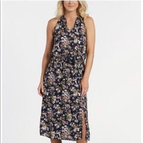 Allison Joy Dresses & Skirts - Allison Joy Floral Evereve Corbin Midi Dress S Blue Pink Sleeveless A-line